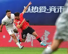 波鸿vs法兰克福为什么推迟