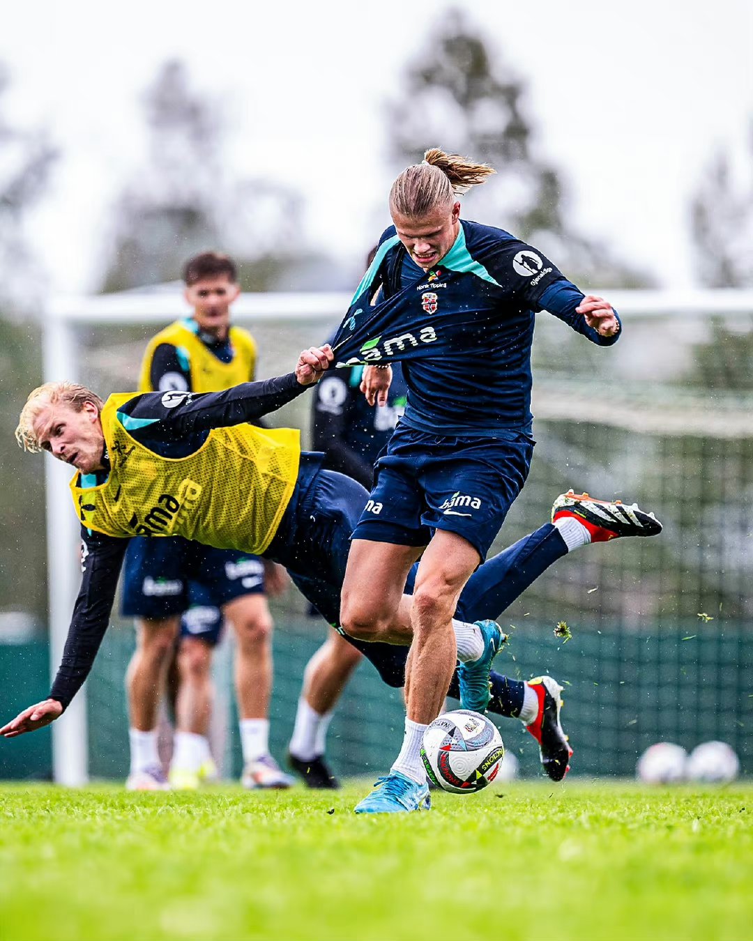 图卢兹球队近况