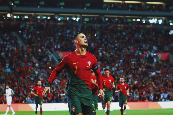 葡萄牙对爱尔兰的世预赛