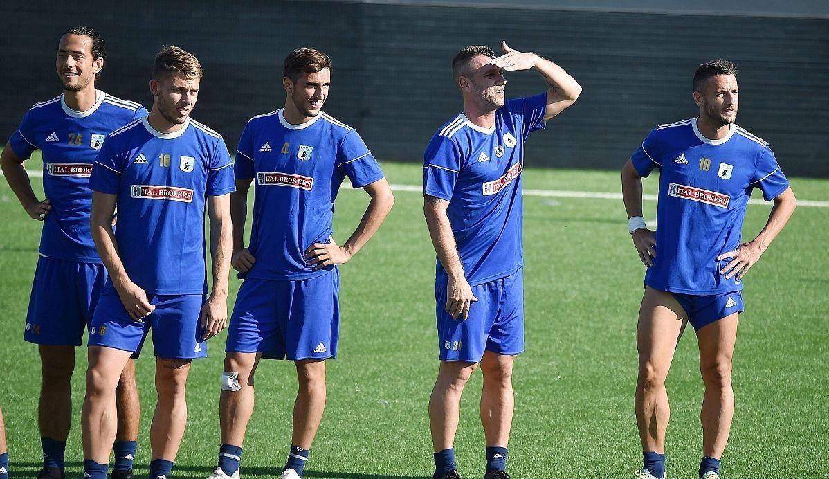 悉尼fcvs西悉尼流浪者比分预测