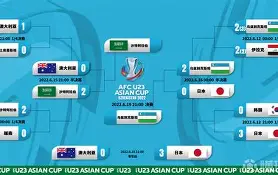 亚洲杯赛冠军杯