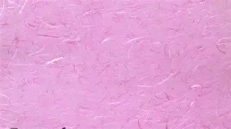 开元棋牌-世界女足明星