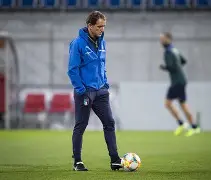 佩莱格里尼教练