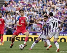 巴拉多利德右后卫弗内斯内达