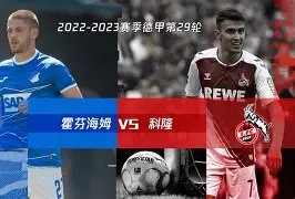 开元棋牌-霍芬海姆vs比勒